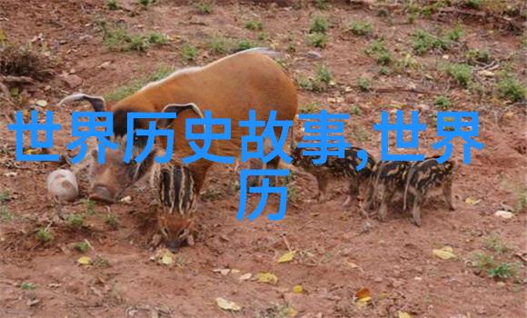 让你惊叹的心理学怪异现象研究