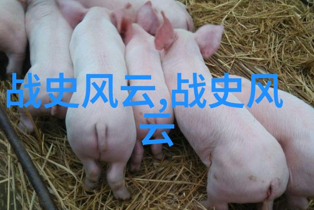 古今中外的野史记忆揭秘那些被遗忘的真实故事