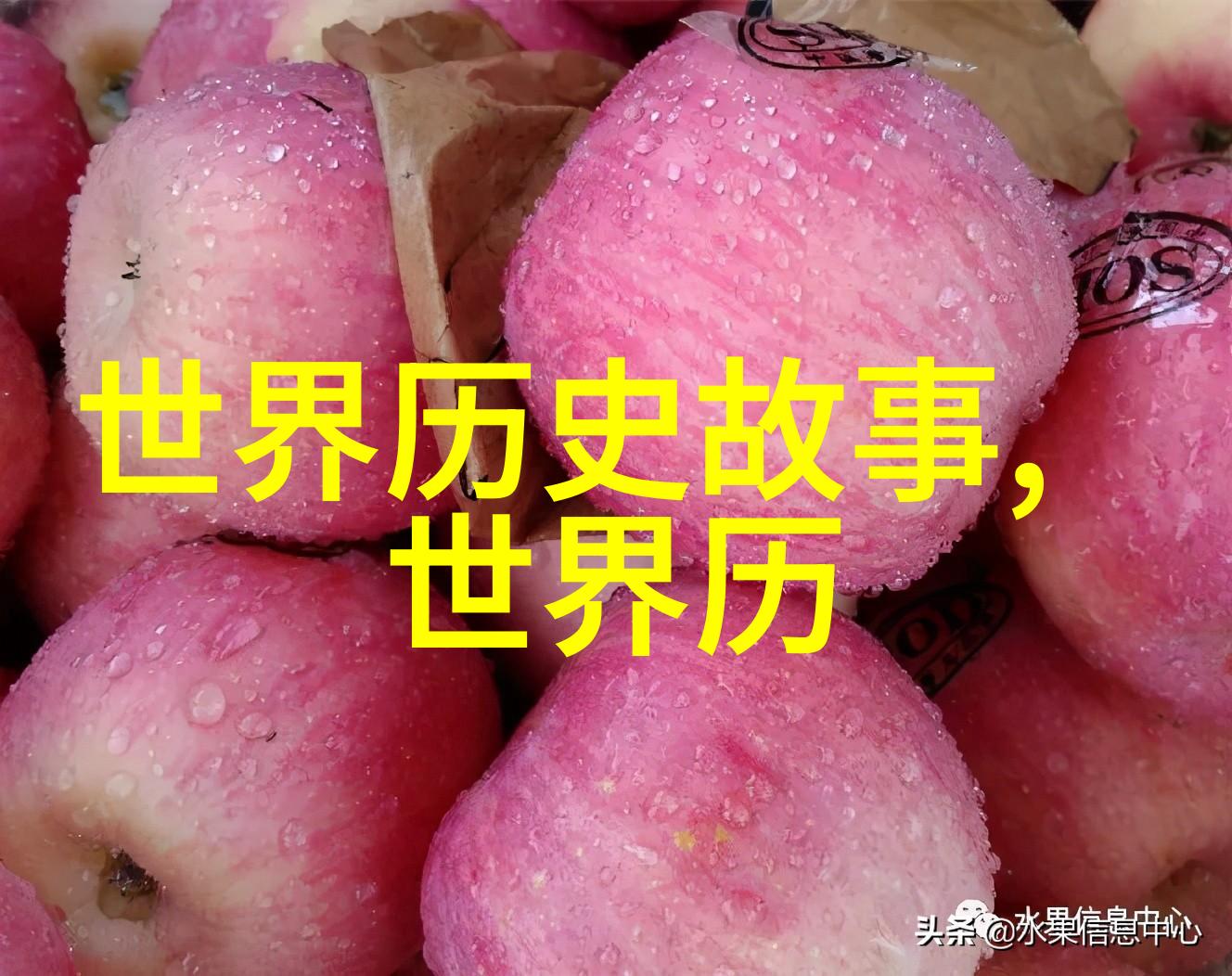 重生首长的小媳妇逆袭的荣耀与爱情篇