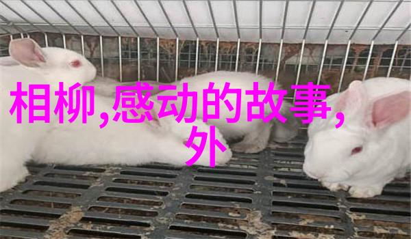 华夏复兴梦想的起点与未来征程