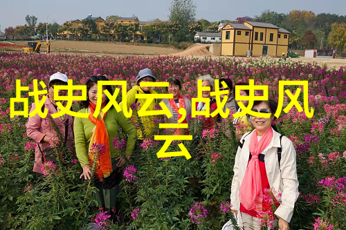 知识与娱乐并重自由下载的小说集成能够提升我们的阅读习惯吗