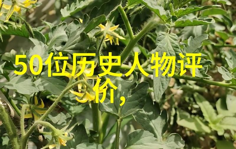 民间神话中的诺亚方舟社会的奇迹与希望