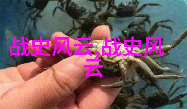 强国论坛第28届北京奥运会金牌榜在社会上引发热烈讨论