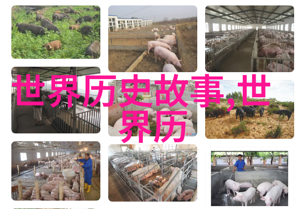 李尤婉云京剧票友之冠同光十三绝的化身