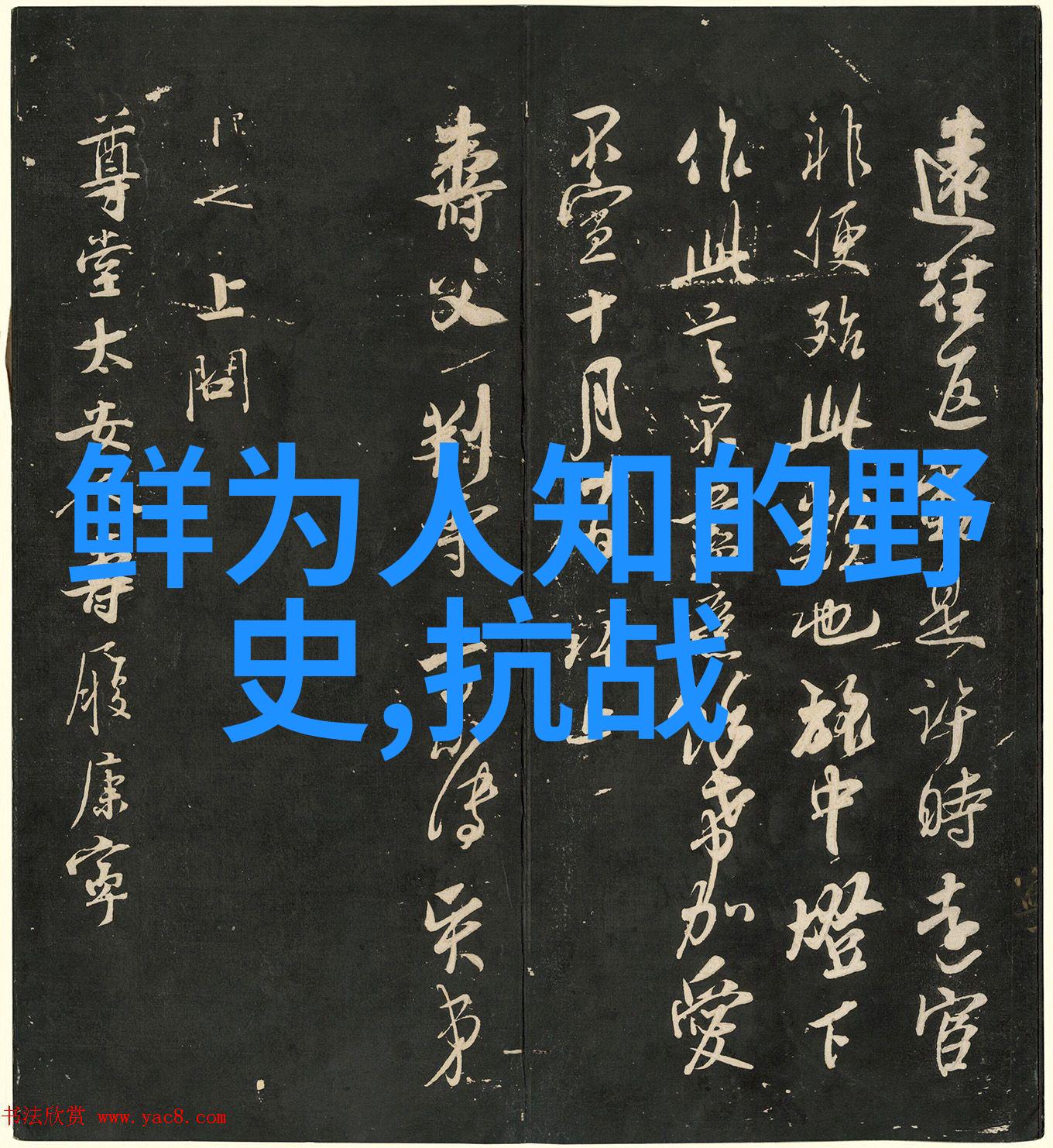 东林党简介明朝最短在位帝王的社会考察与大佛文化背景