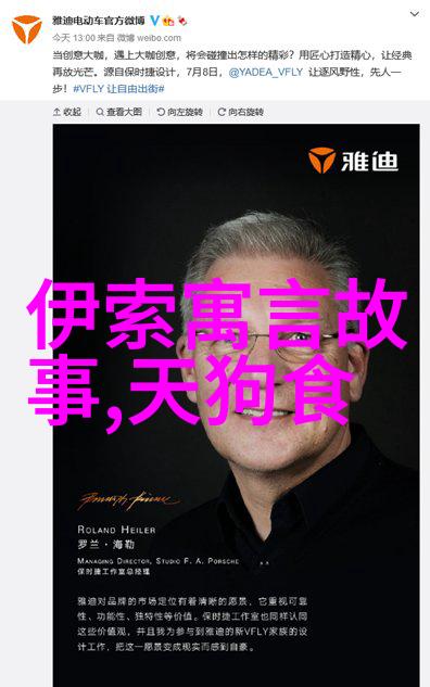宋朝风范赵匡胤内功陈式杨式太极拳庞晓青的武学探索