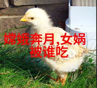 朱祁镇之手下的张太后权力斗争与悲剧的终结