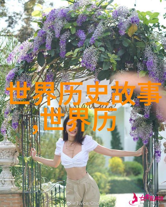岳飞之死与靖康耻历史的阴影与悲剧的交织