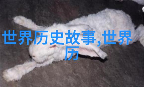 流星划破夜空历史在何处等待