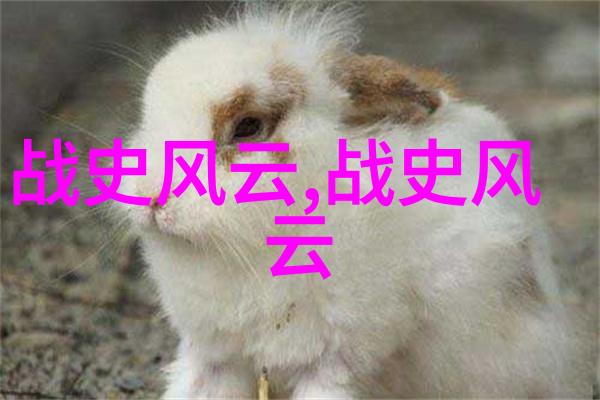 康有为与梁启超的秘密会谈梦碎中华复兴