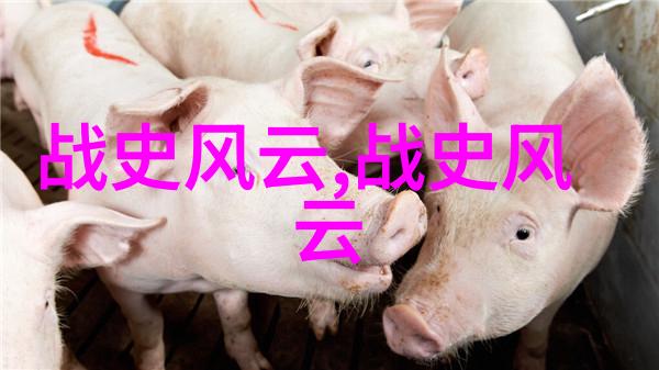 明朝那些事从盛世煌煌到末日凋零的千秋大梦