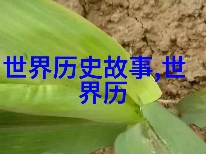 河南豫剧抬花轿程林远的戏曲历史探索