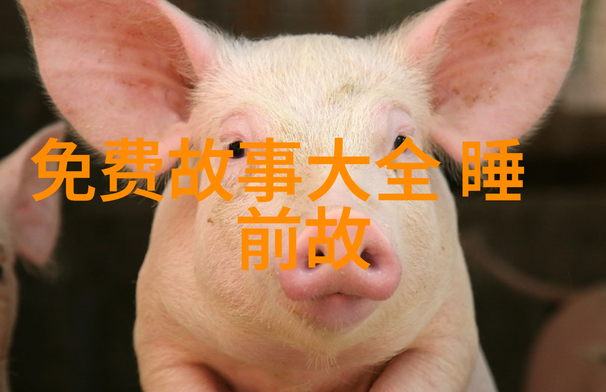 课本上不讲的-隐藏知识课本之外的真实世界