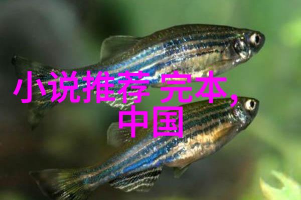 介绍历史人物聊聊那位让我印象深刻的李白