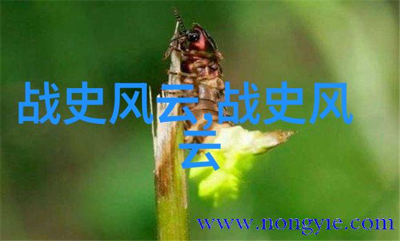 中国第一个降将为何多如牛毛而只有吴三桂一人能让人如此痛恨