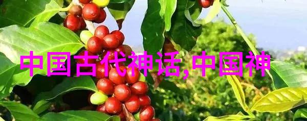 你准备好了吗回顾2022年那些让人拍手称快的趣事
