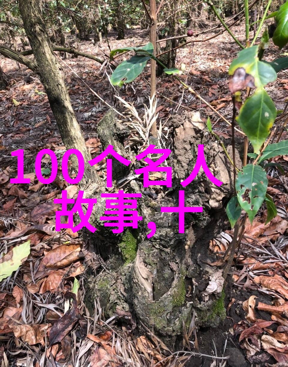 天津区号探索03与城市文化的深度关联