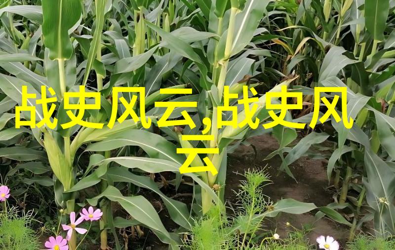 黄梅戏徽州女人吴红军是何许人也