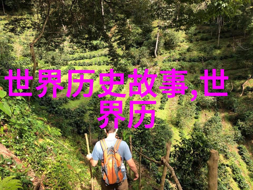 刘邦的隐秘揭开历史之幕后的真相