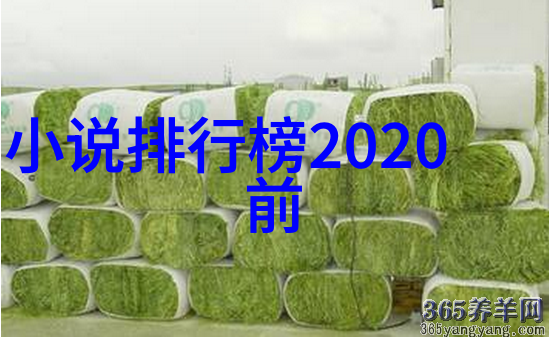 宗教信仰的演变历程从巫术到神灵上下五千年的转型