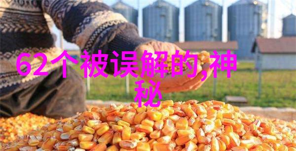 奇遇录夜行者与星光之城