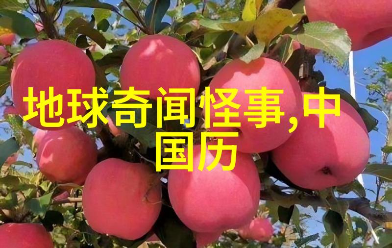 刘大夏秘密藏匿百姓资料揭开中国历代隐秘记录的序幕