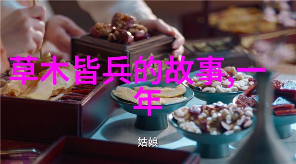 灰姑娘我是如何穿越镜子变成公主的