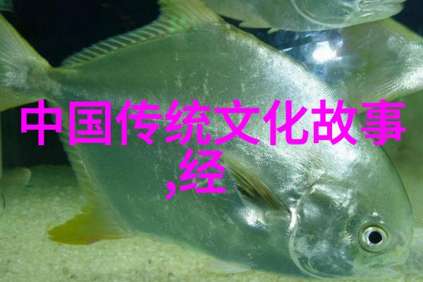 江湖旧事蜀中女英才的隐秘之章