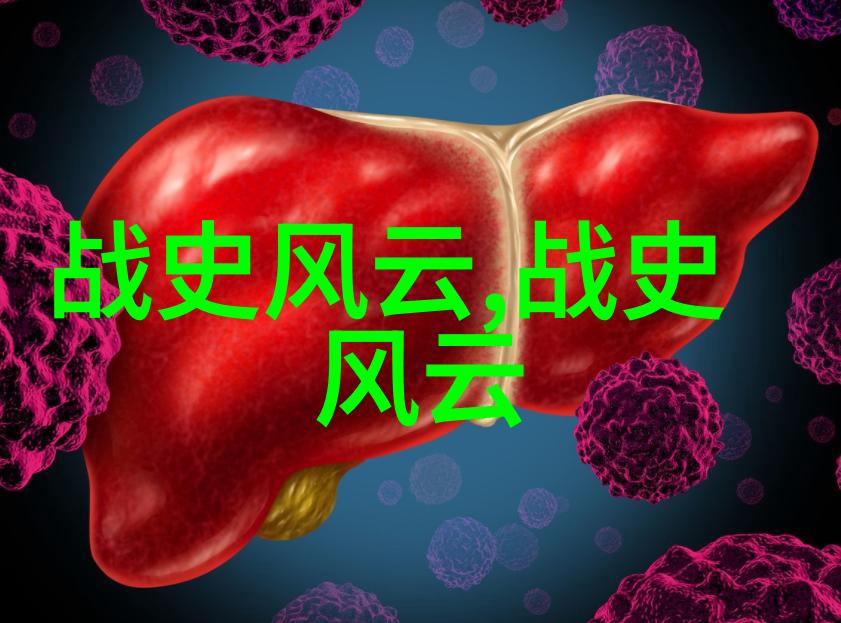 辽金遗忘的历史探索为何不被编入正史