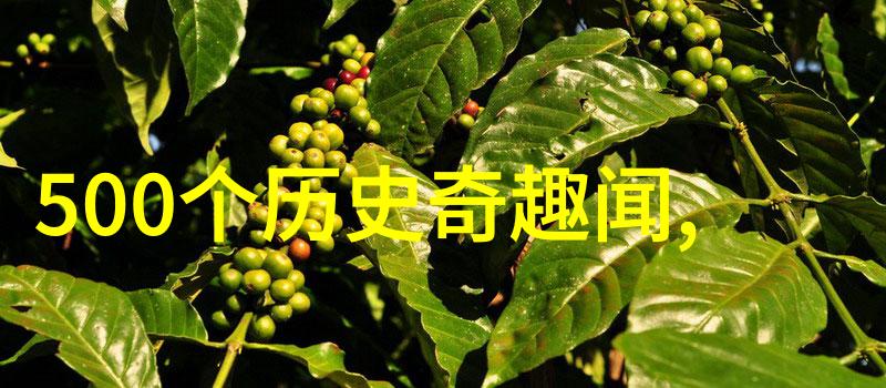 图像中的无限可能40个故事的始点