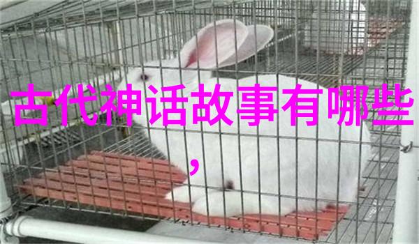 丁晓君京剧代表人在艺术品展览上的演绎