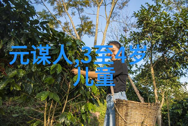 为什么说黑天鹅事件在2021年的频率比以往任何时候都高