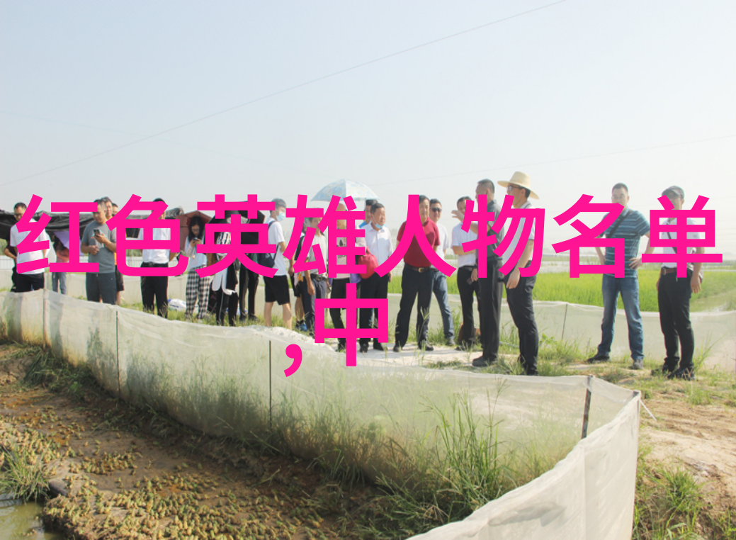 古韵悠长守护森林的神秘女巫
