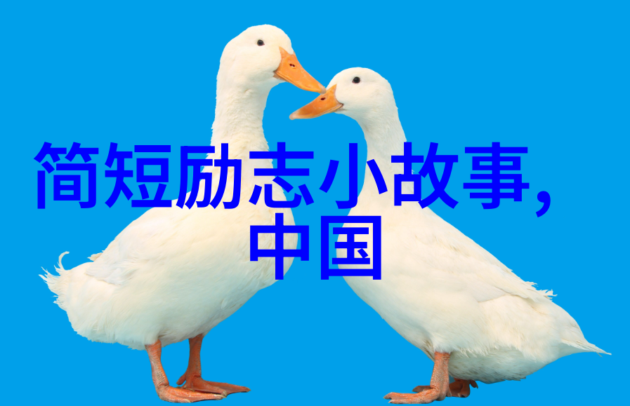 历史的足迹秦始皇与匠人的智慧