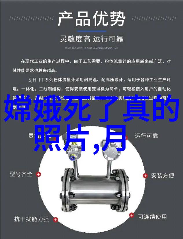 闪电女神的誓言雷霆与心之战