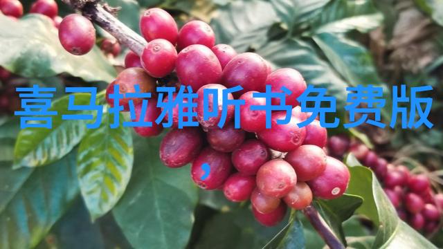 高清120秒动态图试看5次-探索视觉盛宴深度解析高分辨率动态图片的五重魅力