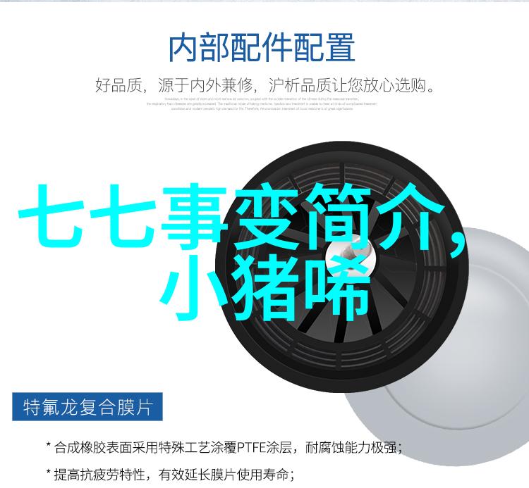 揭秘历史穿越迷雾的有争议野史探究