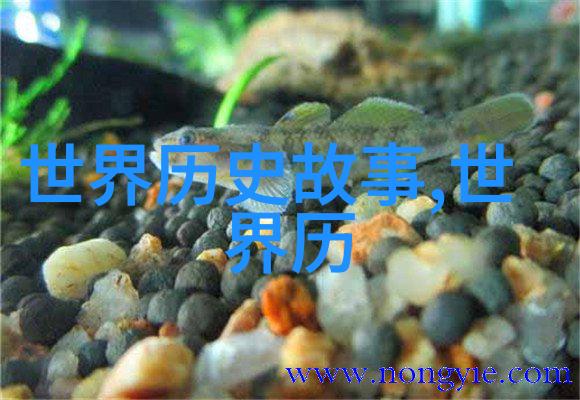 中国古代对于星宿命运观念如何反映在牛郎织女神话故事中