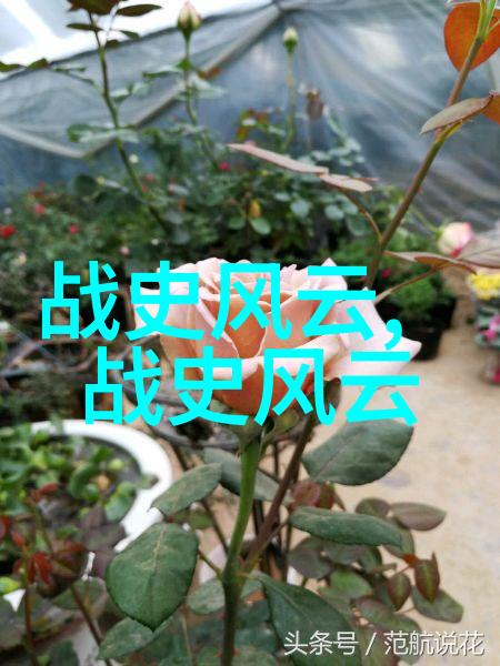元朝是世界上最强大的国家吗我看这个问题问得好啊