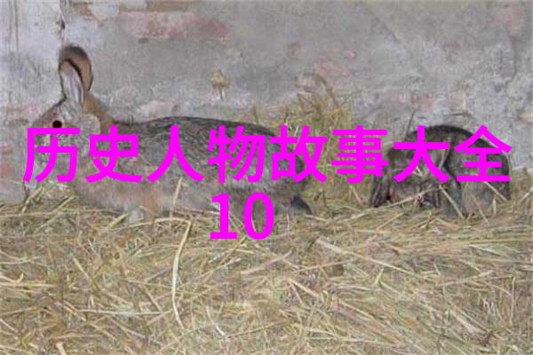 中国历史故事我国古代最神秘的帝王那位穿越千年的流浪者