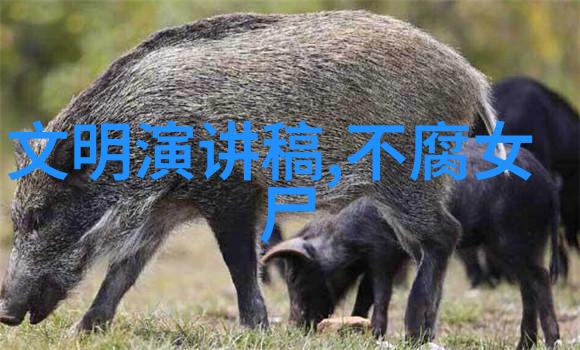 历代帝王的辉煌与沉浮