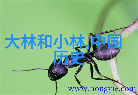 中学生必知的历史故事古今著名事件与人物