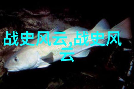 长孙无忧下的隋朝开国之谜为什么杨坚不是太祖