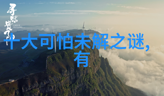 王佩瑜唱武家坡对唱一段李尤婉云的京剧票友如同绚丽多彩的花朵在艺术之海中轻盈起舞