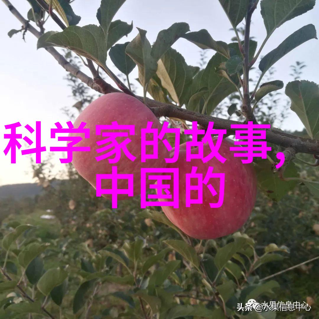中国京剧大师排名包丹庭票友之选