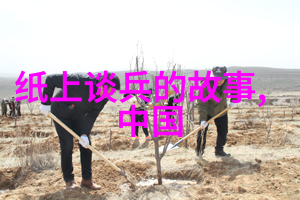 嬴政的母亲从皇宫深处到江湖之巅的逆袭故事