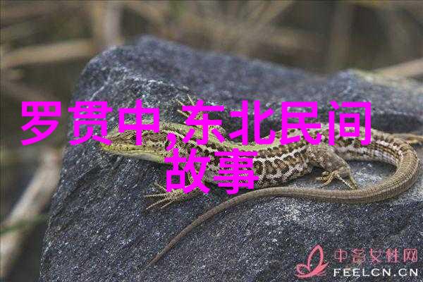 中华历代英雄传从赤壁之战到长城守望