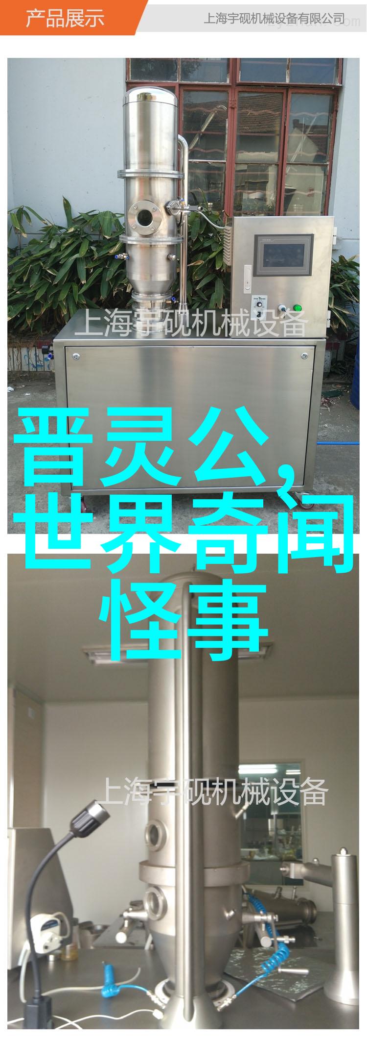 软刺玫瑰爱的柔韧与疼痛