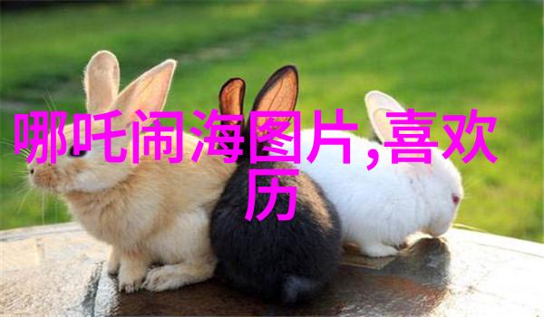 多配偶关系不嫉妒的秘诀如何在一夫多妻中保持幸福与信任