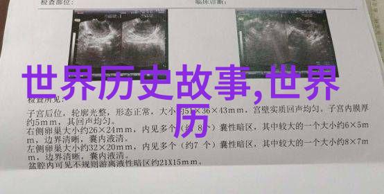2023年新闻趣事全球最大水族箱意外泄露海星变身街头小精灵